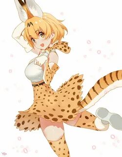 serval (kemono friends) 1girl animal ears solo serval print tail thighhighs...