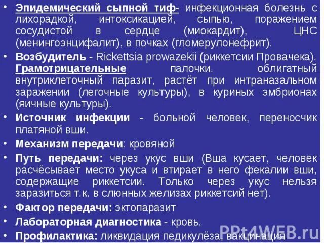 Сыпной тиф механизм передачи. Эпидемический сыпной тиф сыпь. эпидемический сыпной тиф заболевание. сыпной тиф возбудитель пути передачи. сыпной тиф пути передачи.
