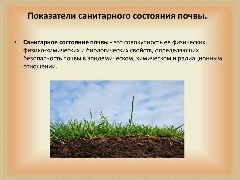 Плодородие почвы кратко 5 класс. Повышение плодородия почвы. Агротехнические методы повышения плодородия почв. Естественное и искусственное плодородие почвы. Способы поддержания плодородия почв.