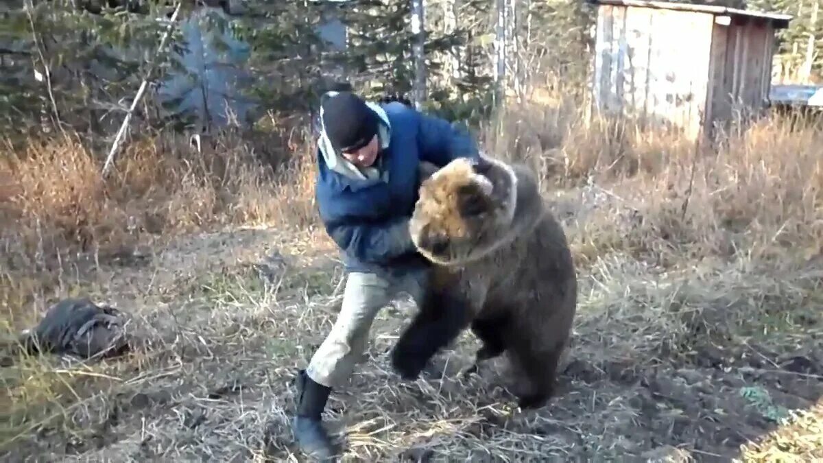 Мужчина медведь видео. Русский дерется с медведем.