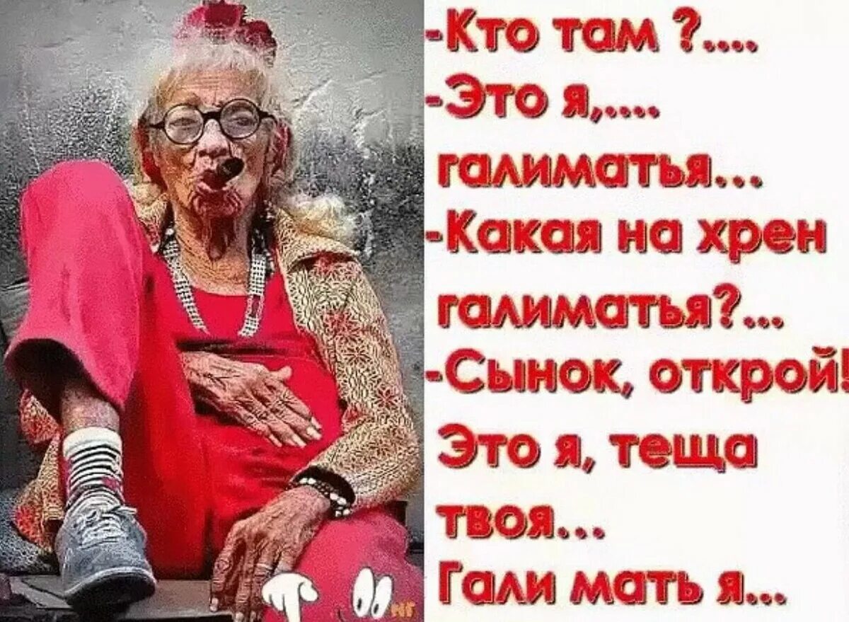 Смешные картинки бабушек с надписями. Шутки про тещу. прикольные афоризмы про старушек. смешные высказывания про бабушек. прикольные фразы про бабушек.
