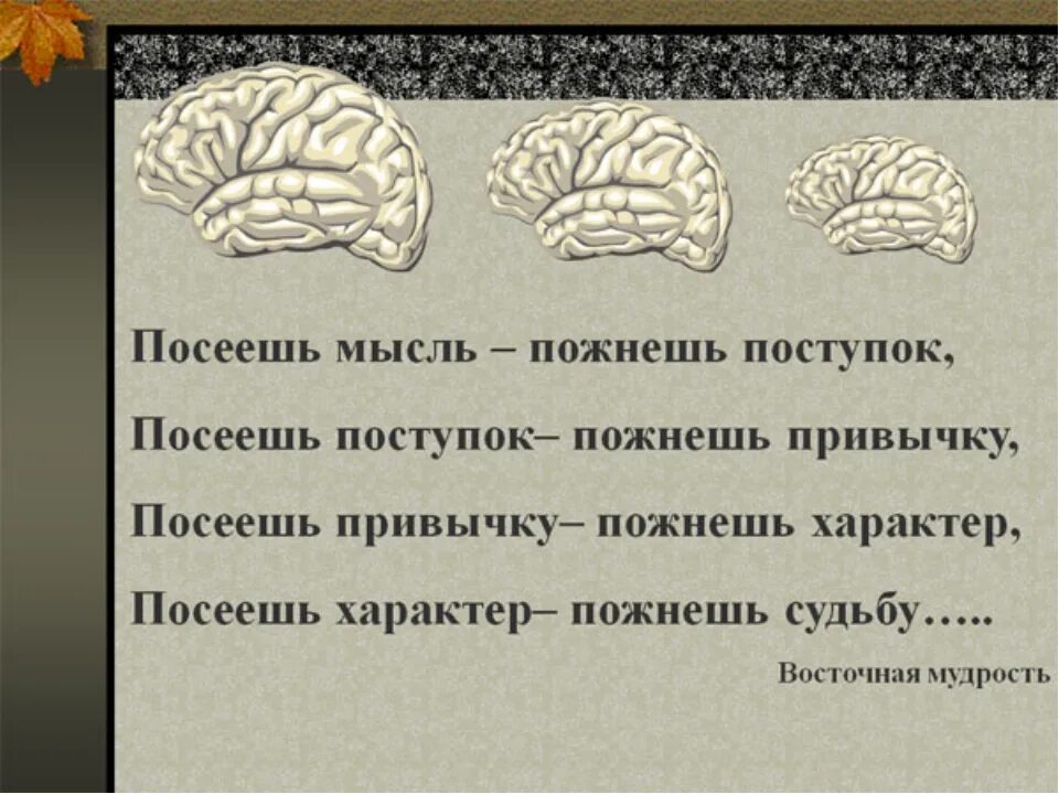 Посеешь характер пожнешь судьбу. Посеешь поступок пожнешь привычку. Посеешь привычку пожнешь характер посеешь характер пожнешь судьбу. Посеешь поступок пожнешь характер. Посеявший или посеевший