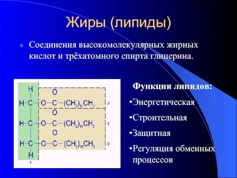 Химическое соединение жиров. Жиры соединения. Жиры высокомолекулярные соединения. Жиры это высокомолекулярные вещества. Элементы жиров.