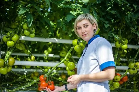 Сайт высоковского сайт