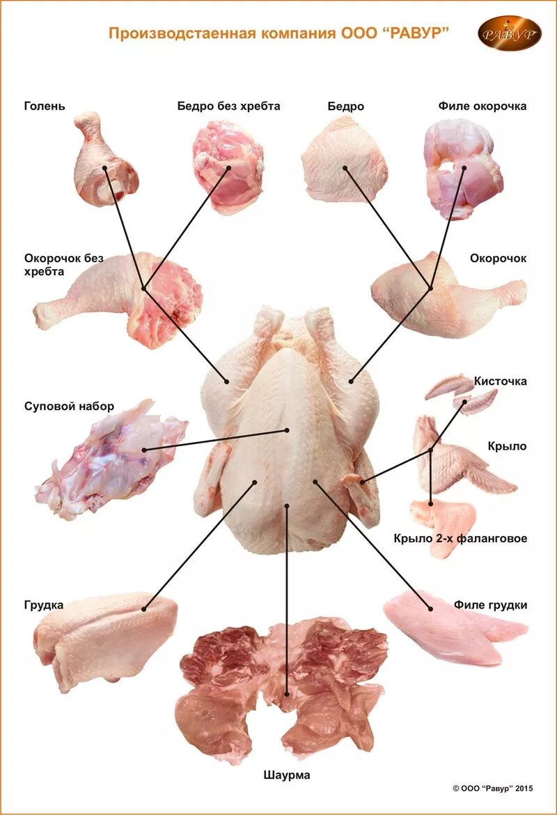 Какие части курицы. Тушка цыпленка бройлера схема разделки. Куриный разруб схема. Части тушек цыплят бройлеров. Схема разделки мяса цыплёнка бройлера.