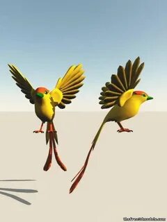 Birds 3
