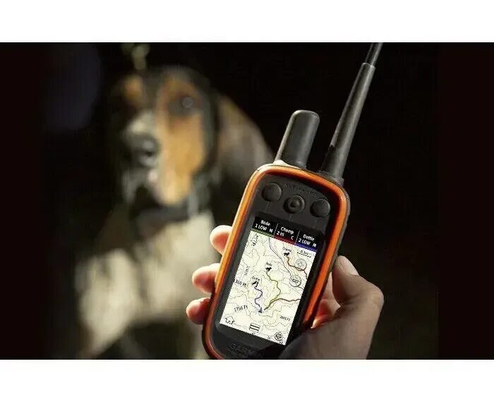 Gps навигатор для собак. Гармин трекер для собак. garmin alpha. ошейники гармин для отслеживания собак русская версия. garmin alpha 100 t5.