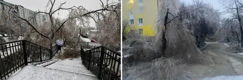 6 замершей