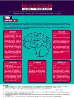 Porn Effects On Brain.