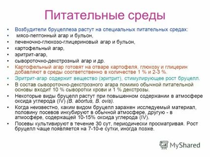 Возбудитель состав