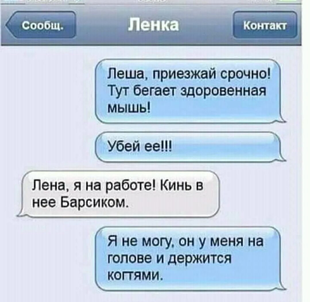 Почему ленка