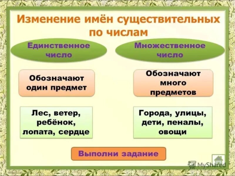 Изменение существительных. Число имен существительных. Изменение существительных по числам. Чимслоимен существительных. Изменение имен существительных по числам.