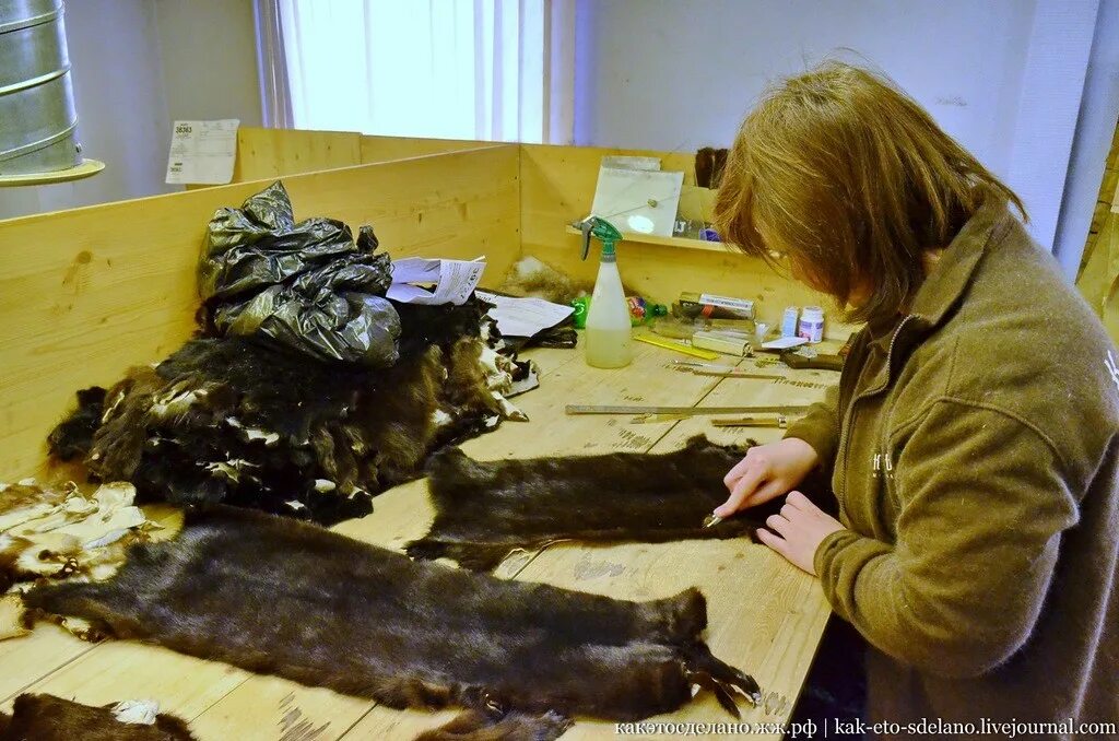 Шуба из крысиных шкурок. Звероферма норки в россии. Как делают норковые шубы. Меховая промышленность. Звероферма норки в россии.