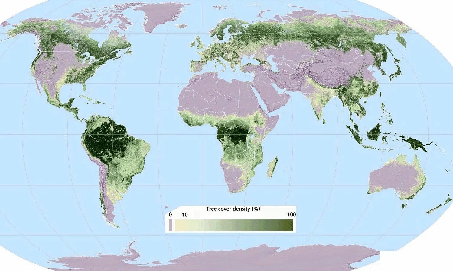 We see the world. Мировая карта лесов. Карта лесов планеты.