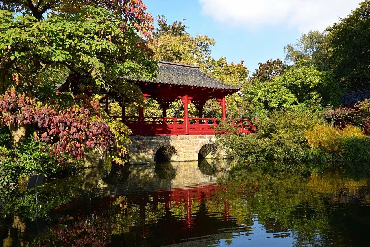 Японский парк фото. Япония парки пруд osaka. японский сад хиранива. ботанический сад вднх японский сад. японский сад осенью цицина.