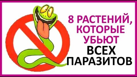 Погубить цветы