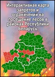 Минлесхоз карта запретов на лес