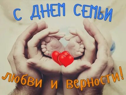 И жизнью моей любимой семьи