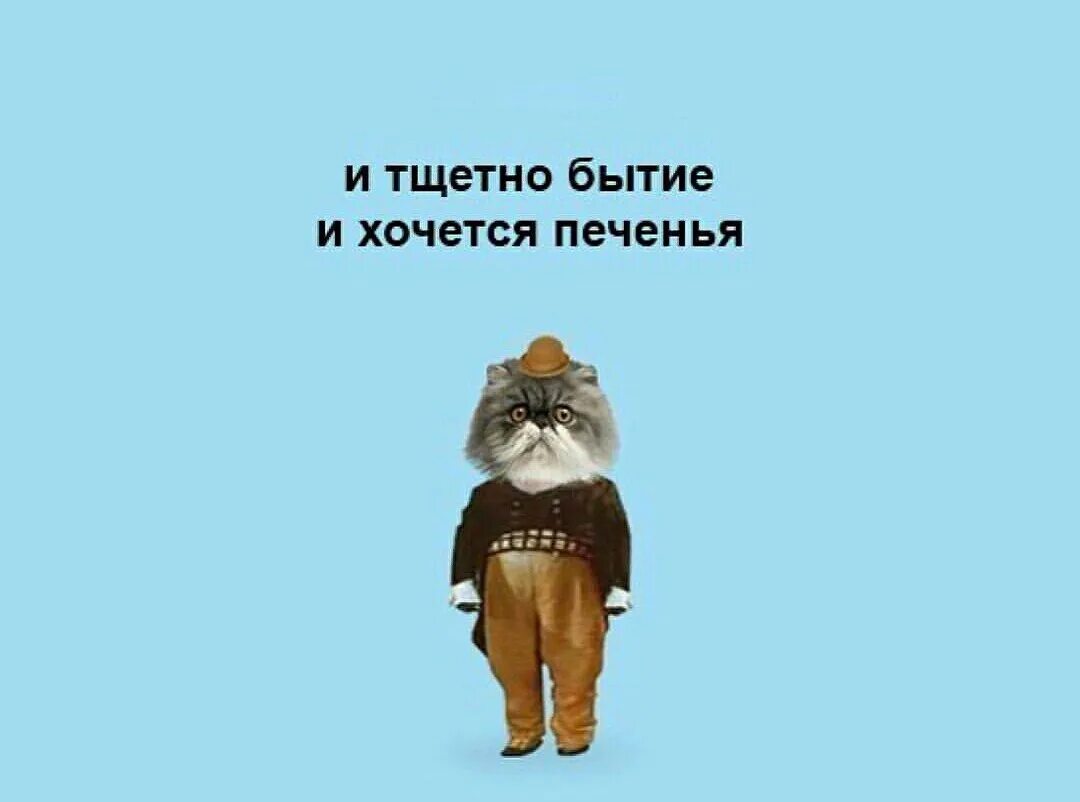 Тщетно бытие. Господа тщетно бытие Мем. Познал тщетность бытия. Хочу печеньку. Оказались тщетны