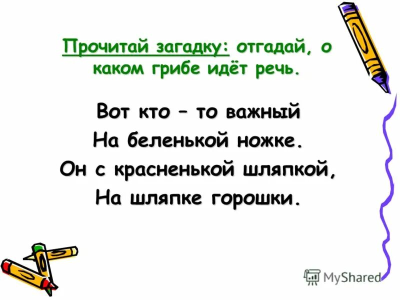 Загадка про сколько. Прочитать загадки. Прочитай загадку.