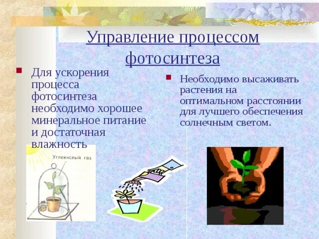 Первый изучил механизм роста растений. Опыт ван гельмонта. Первый изучил механизм роста растений. Эксперимент доказательства образования крахмала в листьях на свету. Исследование фотосинтеза.