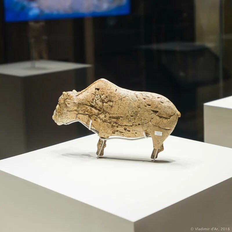 Zaraysk bison race. Zaraysk bison race. Зарайский бизон забег 2024. Bison race 2022. Забег бизон в зарайске 2024.