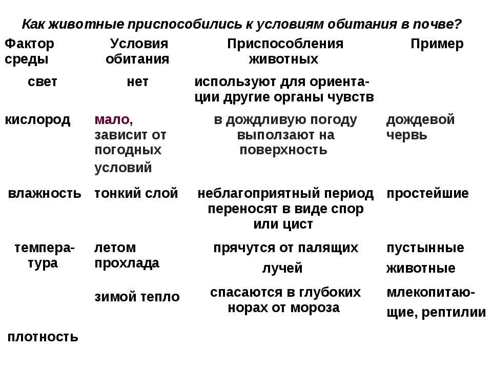 Почва приспособления организмов к среде обитания. Условия жизни среда обитания. Приспособление организмов к почвенной среде. Приспособленность организмов к жизни в почвенной среде.