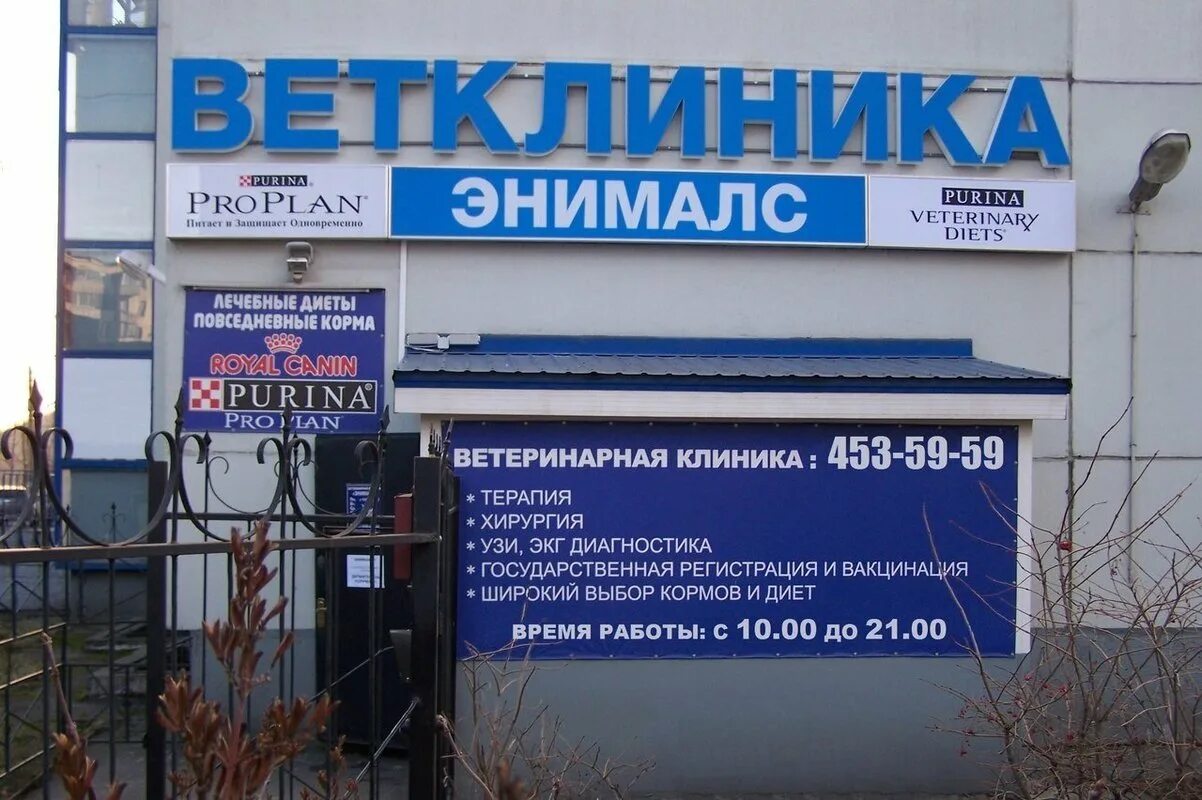 Ветеринарная на будапештской. Ветклиника на будапештской. Ветеринар пушкин. Ветеринарная на будапештской. Ветеринарная на будапештской.