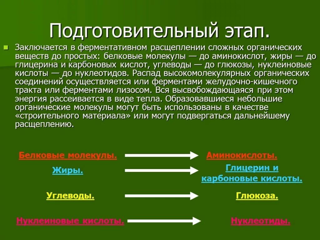 Подготовительный этап заключается в. Расщепление органических веществ. Расщепление сложных органических веществ. Распад сложных органических веществ. Органический распад