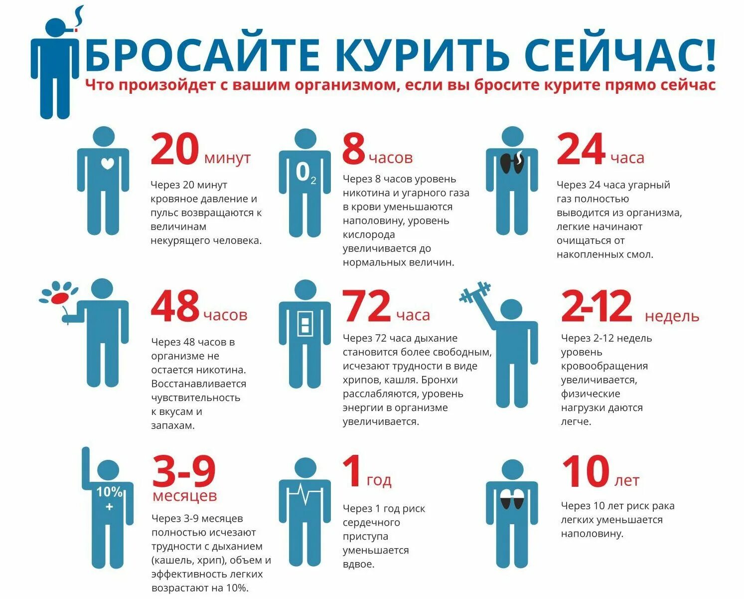 Через сколько лет человеку