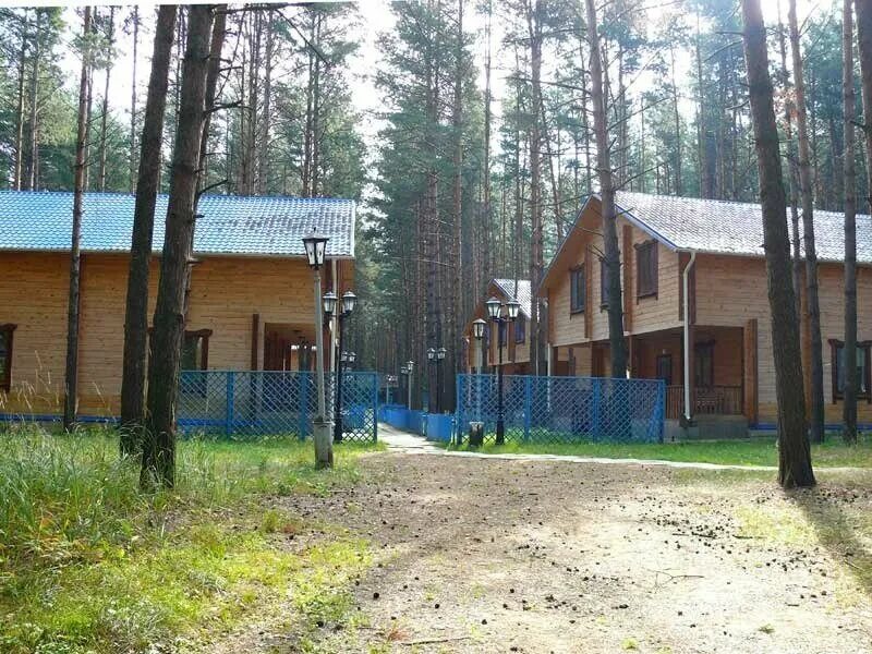 Чайка нижегородская область. Турбаза Чайка Нижегородская область. Турбаза Чайка Нижегородская область Горьковское море. Турбаза Чайка Городецкий район. База отдыха Чайка Городецкий район.