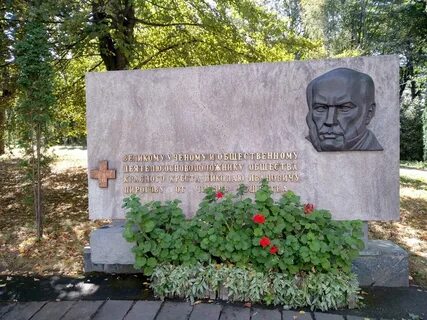Пирогово доктор