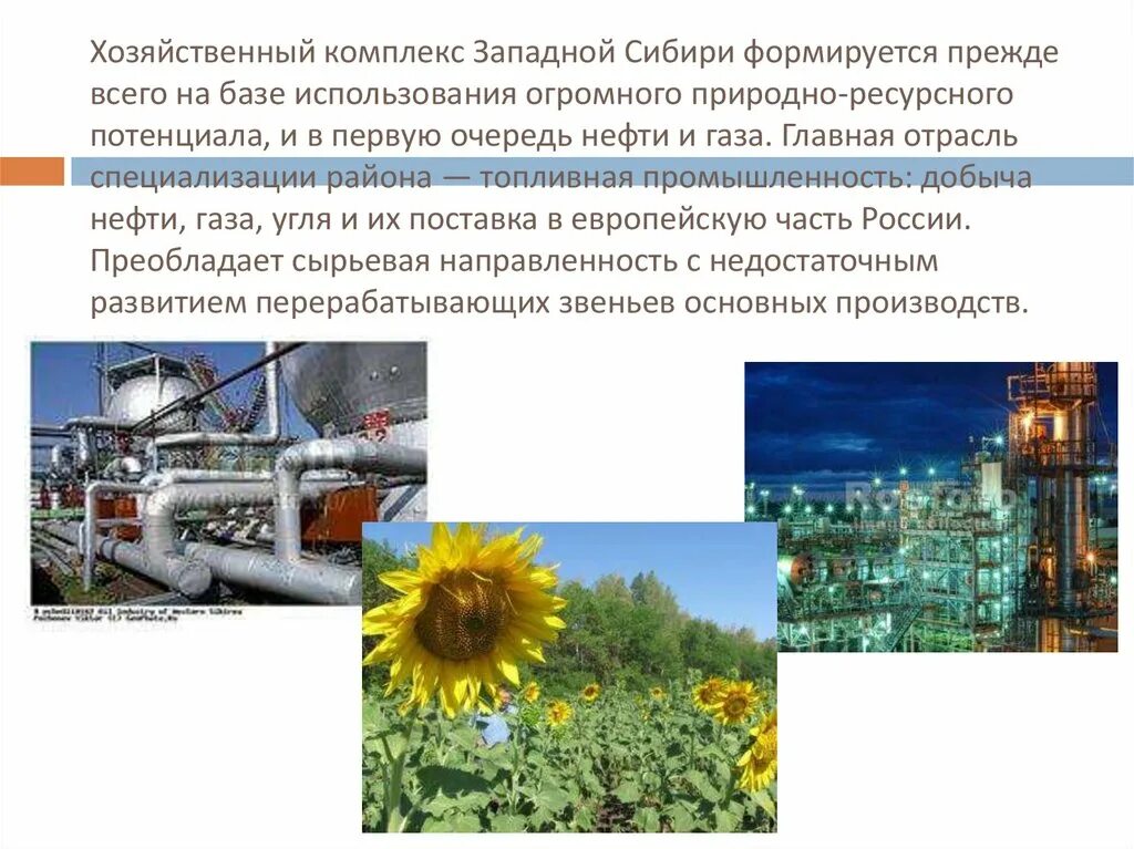 Сибирь особенности природно ресурсного потенциала презентация