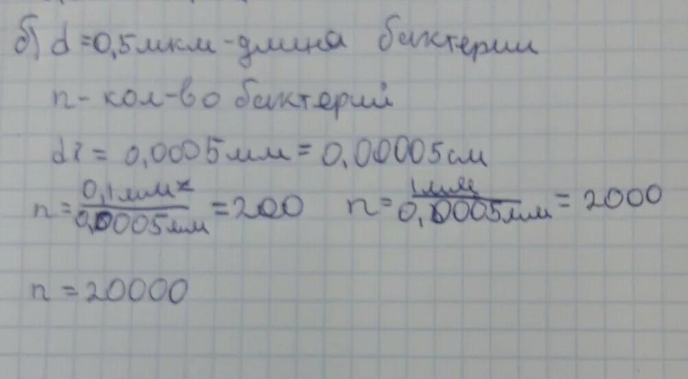 Длина одной бактерии 0.5 мкм сколько таких бактерий. 0,5 Мкм в си. 0.1 Мм в мкм. 0.5-1.0 Мкм.