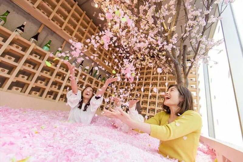 Hanami Cherry Blossom. Черри блоссом в Токио. Дождь из лепестков Сакуры. Сакура бар. Сакура бассейном набережные