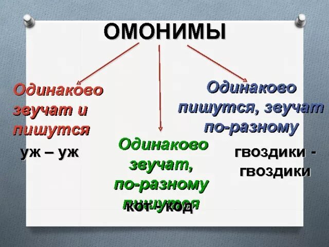 Слова которые одинаково звучат и пишутся. Слова омонимы одинаково звучат и пишутся. Одинаково звучат пишутся по разному. Слова которые звучат одинаково а пишутся по разному. Слова одинаково пишутся но по разному произносятся