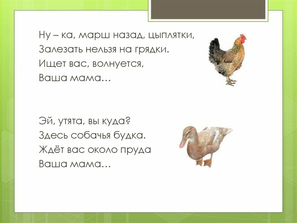 Загадка про кур. Загадка про курицу. Загадки про домашних птиц. Домашние птицы загадки для детей. Загадки про домашних птиц для дошкольников.