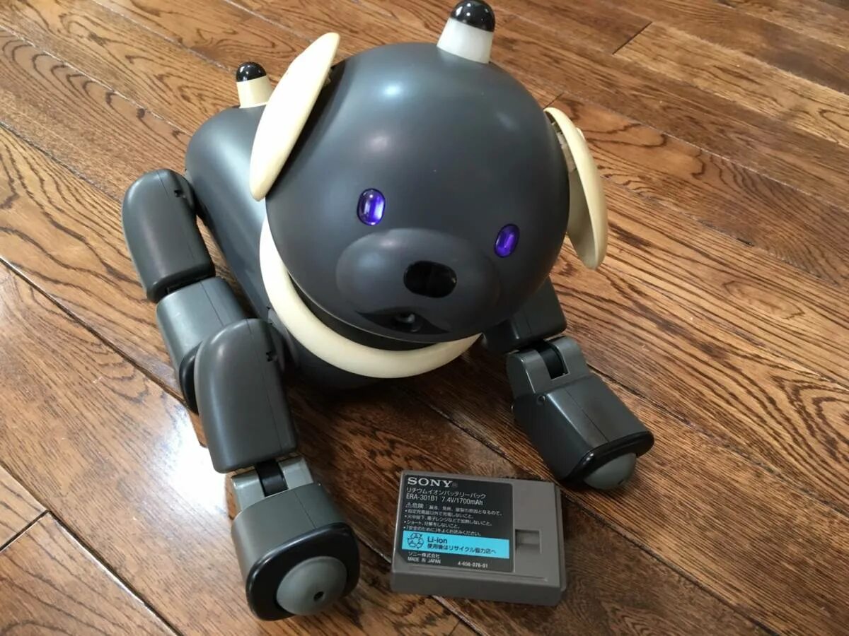 Сони Айбо. Aibo робот-собака от Sony. Sony Aibo 1999. Включи зарядку роботов