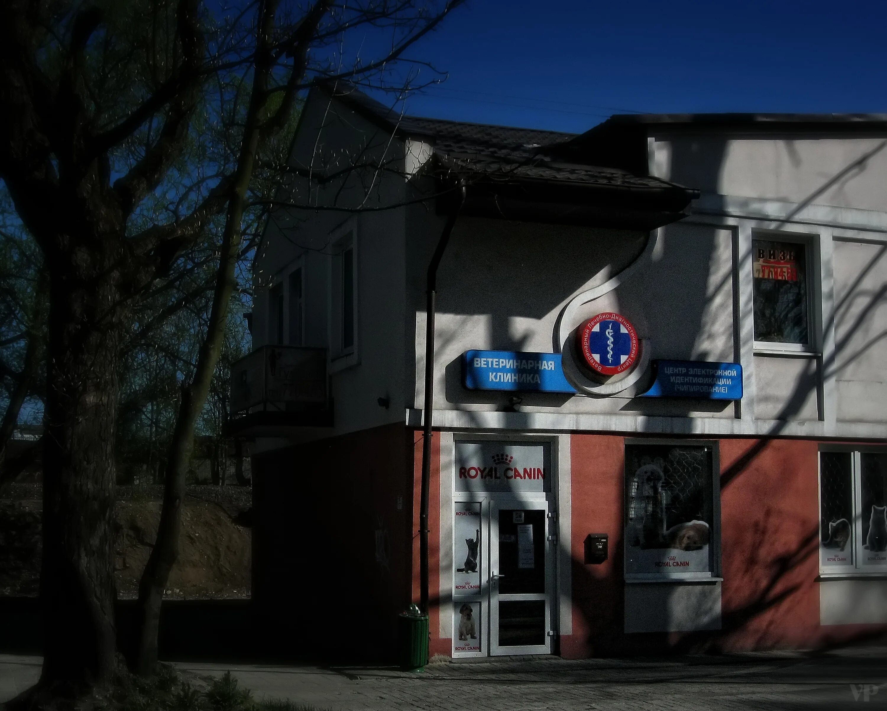 Колхозная 17 калининград. Центральная 39 ветклиника. Вет 39. Ветклиника на колхозной калининград. Ветклиника калининград колхозная 2д.