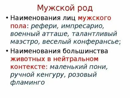 Маэстро род