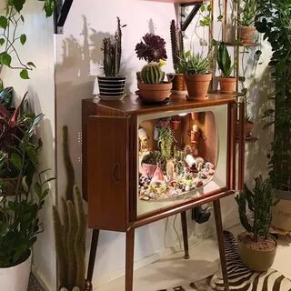 Plants tv