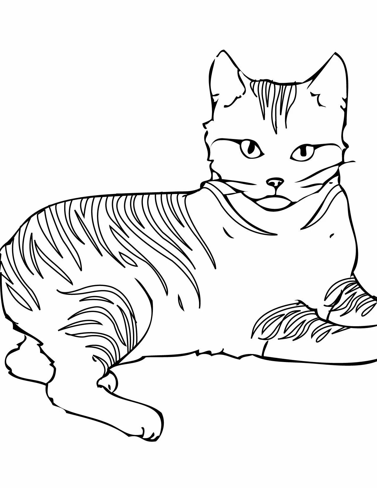 Распечатки котиков раскраски. Раскраска. котики. кошки. раскраска. раскраски т1. раскраски котов.
