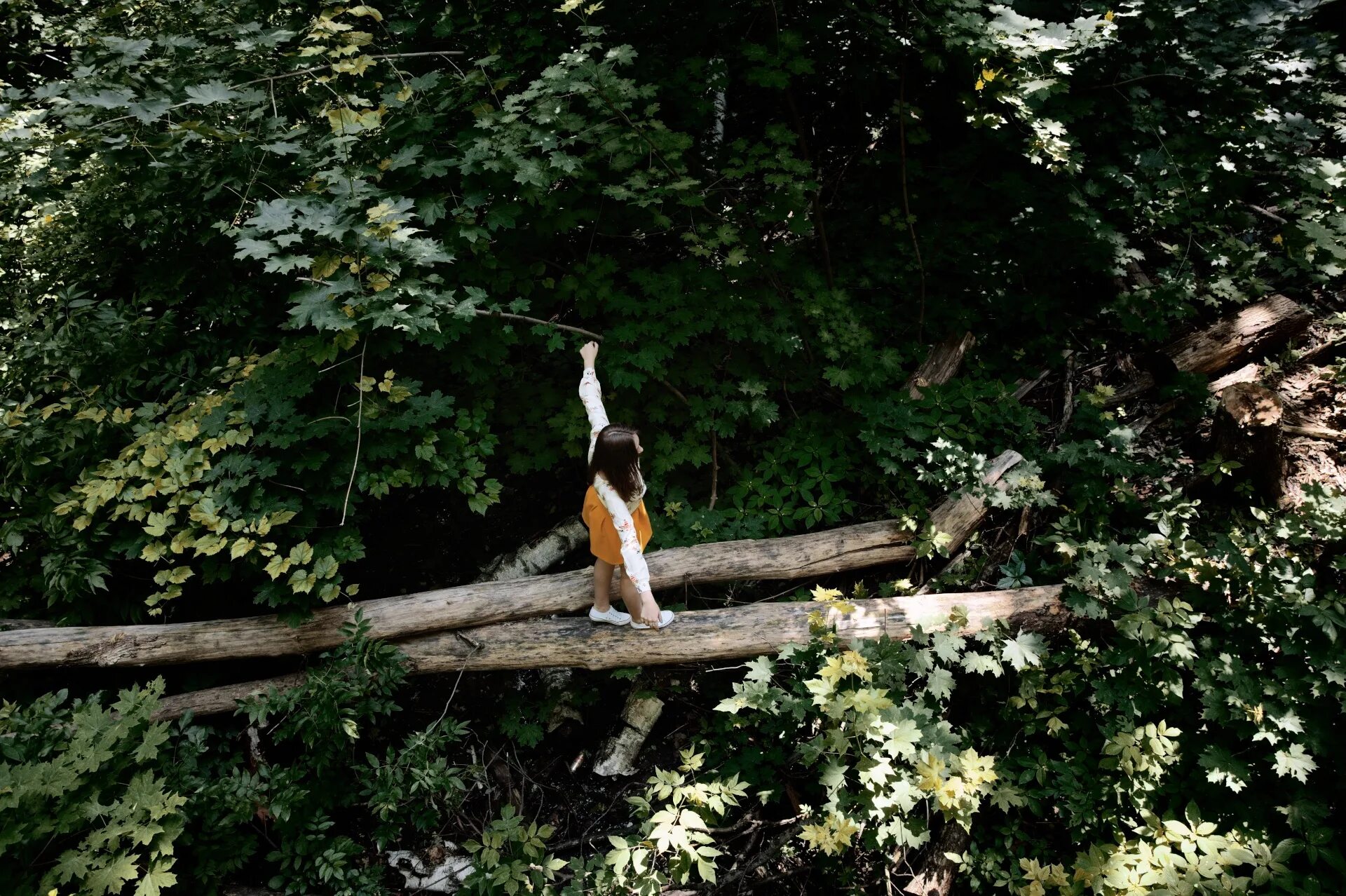 Natural public. Человек на бревне в лесу. Фотосессия в лесу на бревне. Девочка на бревне. Бревно в лесу фото.