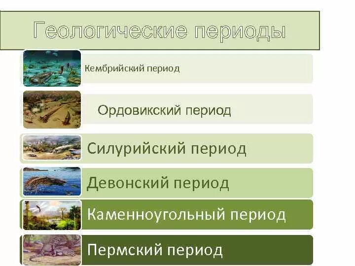 Общая стратиграфическая геохронологическая шкала. Стратиграфическая геохронологическая шкала 2022. Геологические периоды девонский. Периоды геохронологической шкалы. Стратиграфическая шкала с горизонтами.