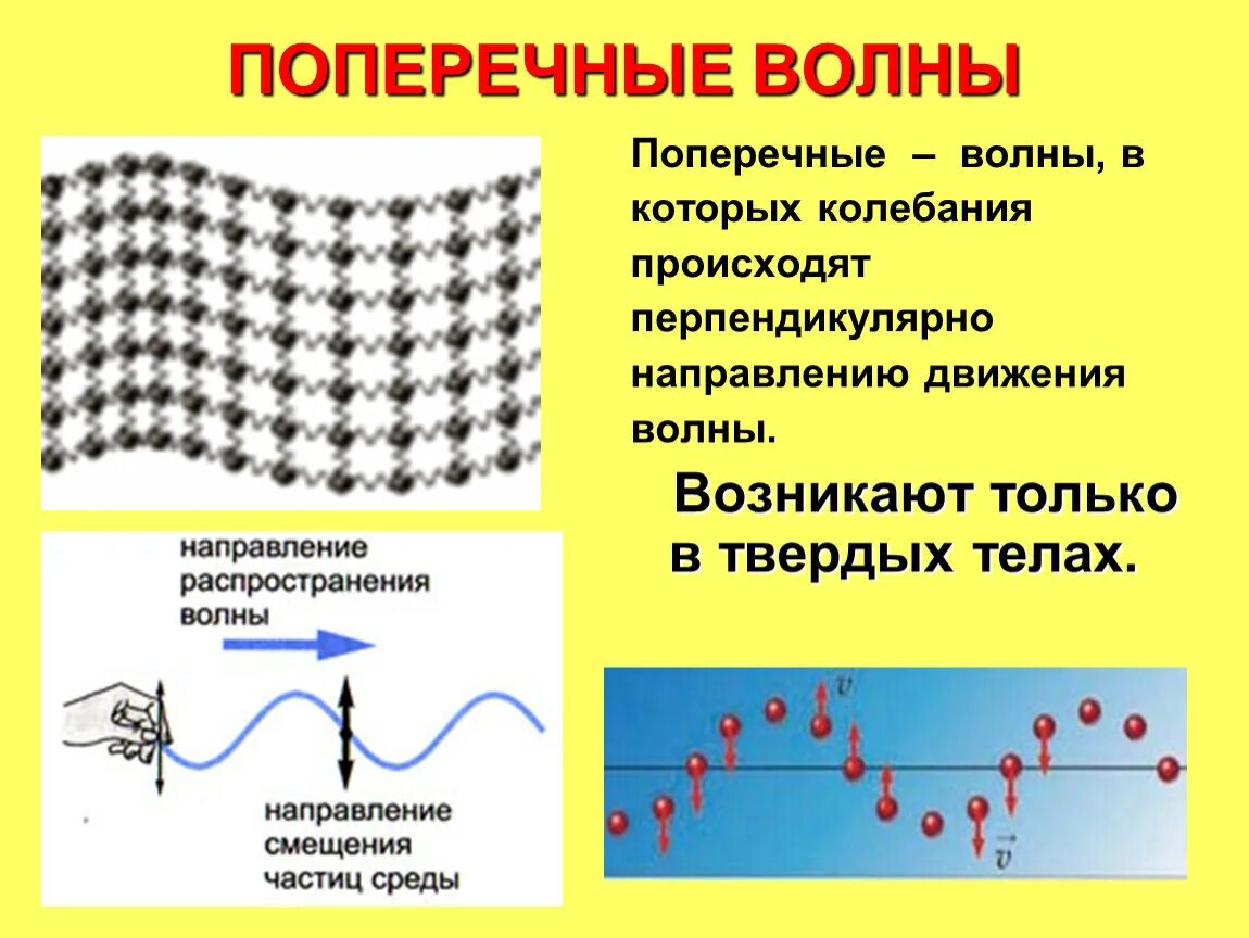 Поперечные волны. Продольные и поперечные волны. Поперечная волна и продольная волна. Поперечный. Что такое продольная волна