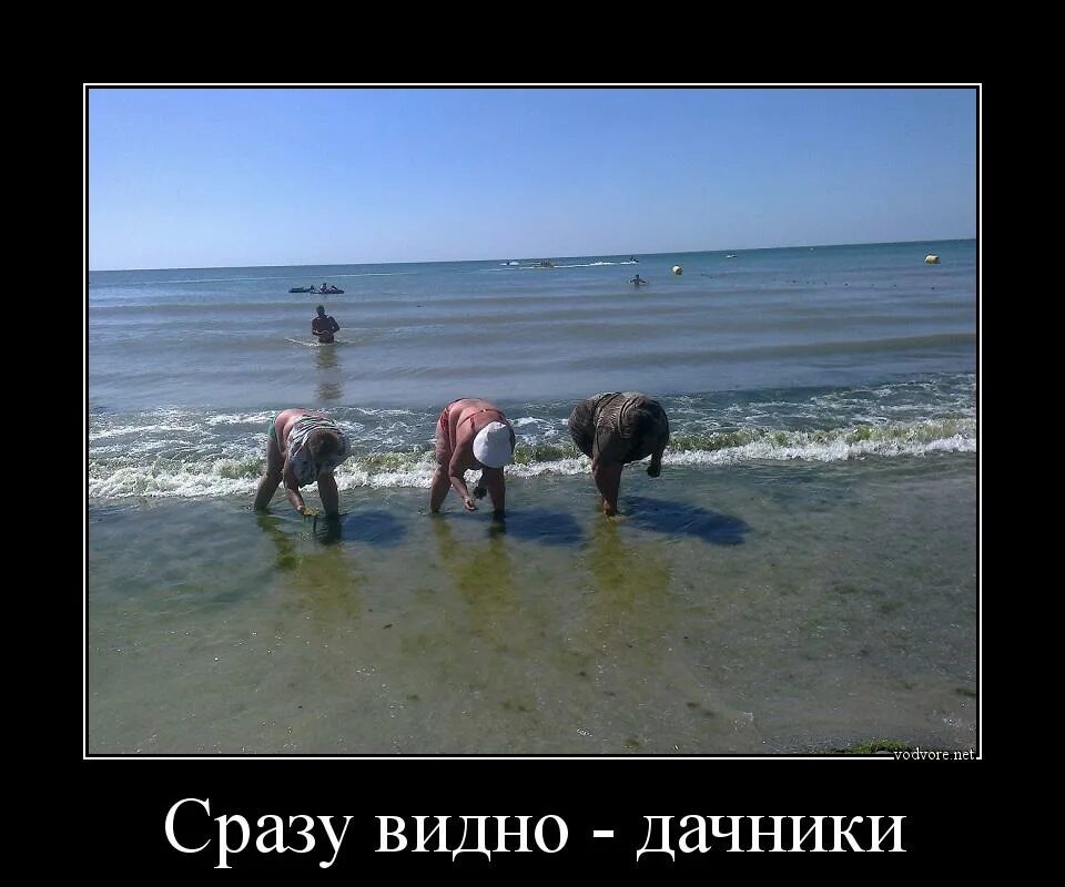 Море шутка. Приколы про море. приколы про отдых. демотиваторы. приколы про море и отпуск.