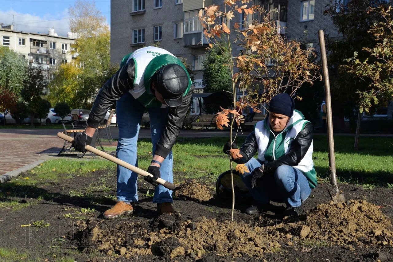 Курган работа для женщин на сегодня. Городское хозяйство. Шахматный сквер Курган. Посажены на территории. Трудовая городское хозяйство.