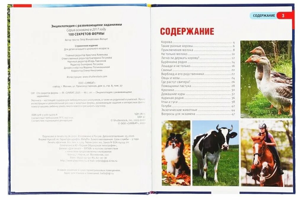 Энциклопедия а4 04089-7 хищные птицы. Содержание энциклопедии. Энциклопедия животные содержание. Техника иллюстрированная энциклопедия росмэн. Книги для девочек содержание.