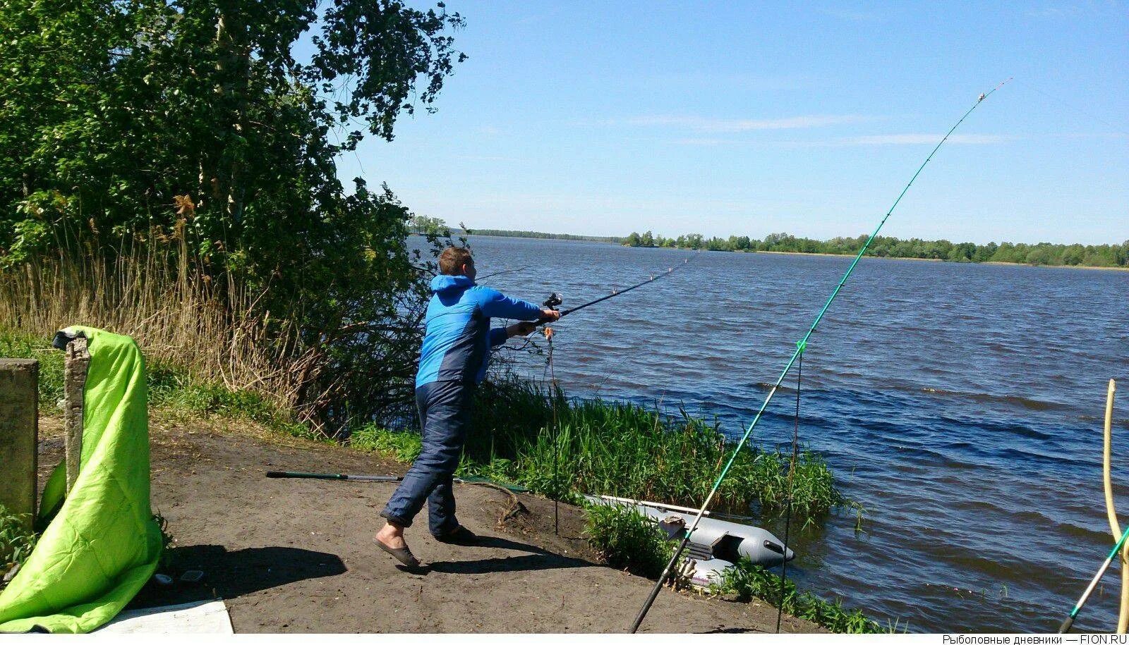 Озеро Муромское Шатура рыбалка. Озеро святое Шатура рыбалка. Белое озеро Шатура рыбалка. Озеро Муромское Шатурский район. Озеро московское рыбалка