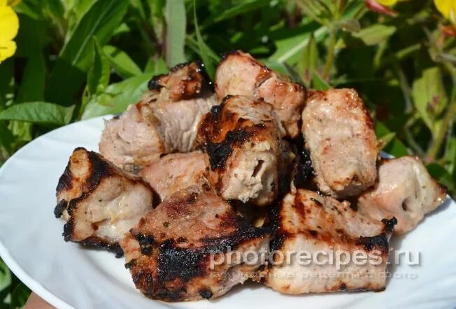 Шашлык на кефире из курицы рецепт маринада. Шашлык на кефире из курицы рецепт маринада